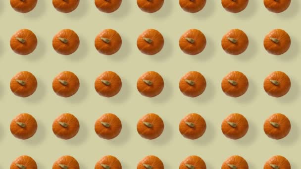 Colorful pattern of fresh orange pumpkins. Top view. Seamless pattern with pumpkin. Pop art design. Realistic animation. 4K video motion — Stockvideo
