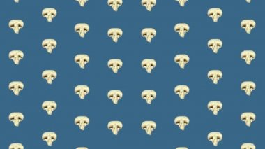 Mavi arka planda taze mantarların renkli deseni. Şampiyon dilimlenmiş kusursuz desen. Üst Manzara. Gerçekçi animasyon. 4K video hareketi