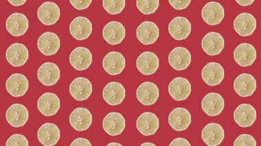 Kırmızı arka planda taze limon renkli meyve deseni. Limon dilimleriyle kusursuz desen. Gerçekçi animasyon. 4K video hareketi