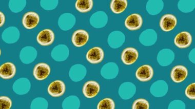 Taze tutku meyvesinin renkli meyveleri. Çarkıfelek meyveli kusursuz desen. Pop sanat tasarımı. Gerçekçi animasyon. 4K video hareketi