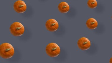 Renkli turuncu balkabağı deseni. Üst Manzara. Balkabağıyla kusursuz desen. Pop sanat tasarımı. Gerçekçi animasyon. 4K video hareketi