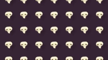 Renkli taze mantar deseni. Şampiyon dilimlenmiş kusursuz desen. Üst Manzara. Pop sanat tasarımı. Gerçekçi animasyon. 4K video hareketi