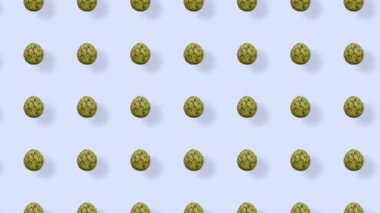 Taze Cherimoya 'nın renkli meyve deseni. Cherimoya ile kusursuz desen. Muhallebi elması deseni. Tropik soyut arka plan. Gerçekçi animasyon. 4K video hareketi