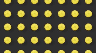 Taze ananasın renkli meyve deseni. Ananas dilimli kusursuz desen. Gerçekçi animasyon. 4K video hareketi