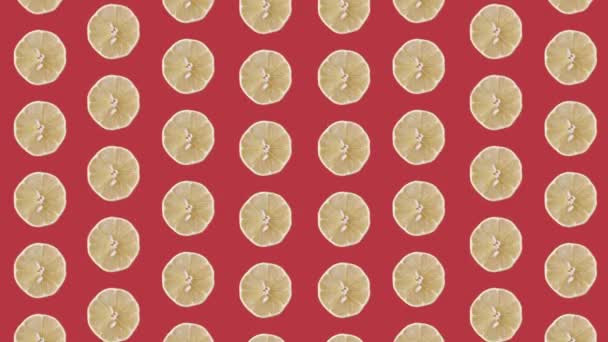 Colorful fruit pattern of fresh lemons on red background. Seamless pattern with lemon slices. Realistic animation. 4K video motion — Video Stock