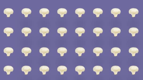 Kleurrijk patroon van verse champignons op paarse achtergrond. Naadloos patroon met champignon. Bovenaanzicht. Realistische animatie. 4K video beweging — Stockvideo