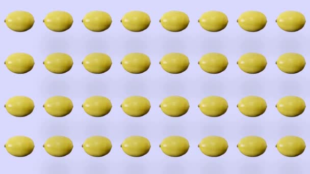 新鮮なレモンのカラフルなフルーツパターン。レモンとのシームレスなパターン。ポップアートのデザイン。現実的なアニメーション。4Kビデオモーション — ストック動画