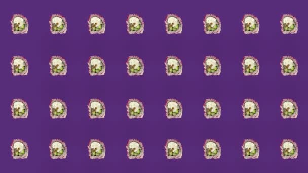 일본의 초밥의 다채 로운 무늬가 보라색 배경에 그려져 있다. 스 시 ( 초밥 ) 가 가미 된 무미 패턴이야. 위에서 본 모습. 리얼리티 애니메이션. 4K 비디오 모션 — 비디오