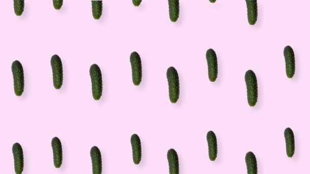 Colorful pattern of fresh cucumbers on pink background. Seamless pattern with cucumber. Realistic animation. 4K video motion — Stockvideo