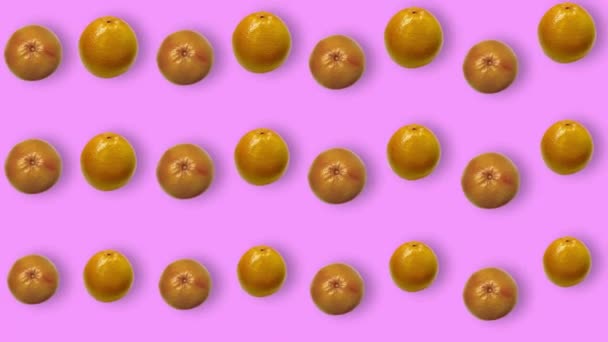 Patrón de fruta colorida de pomelos frescos sobre fondo rosa con sombras. Patrón sin costura con pomelo. Animación realista. Movimiento de vídeo 4K — Vídeos de Stock