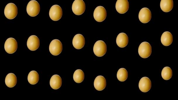 Kolorowy wzór jaj kurzych na czarnym tle. Płynny wzór z jajkiem. Widok góry. Realistyczna animacja. Ruch wideo 4K — Wideo stockowe