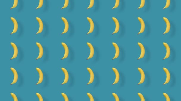 Patrón colorido de frutas de plátanos amarillos frescos sobre fondo azul con sombras. Patrón sin costuras con plátano. Animación realista. Movimiento de vídeo 4K — Vídeo de stock