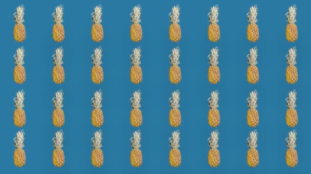 Kolorowy wzór ananasów na niebieskim tle. Widok góry. Minimalna koncepcja latem owoców tropikalnych. Płynny wzór z ananasem. Ruch wideo 4K — Wideo stockowe