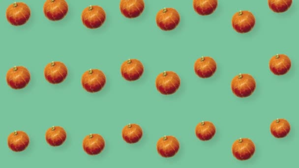 Красочный узор из свежих оранжевых тыкв на зеленом фоне. Бесшовный рисунок с тыквой. Реалистичная анимация. 4K видео движение — стоковое видео