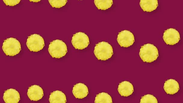 Kleurrijk fruitpatroon van verse ananas. Naadloos patroon met ananas gesneden. Realistische animatie. 4K video beweging — Stockvideo