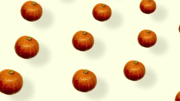 Kleurrijk patroon van verse oranje pompoenen. Naadloos patroon met pompoen. Pop art ontwerp. Realistische animatie. 4K video beweging — Stockvideo