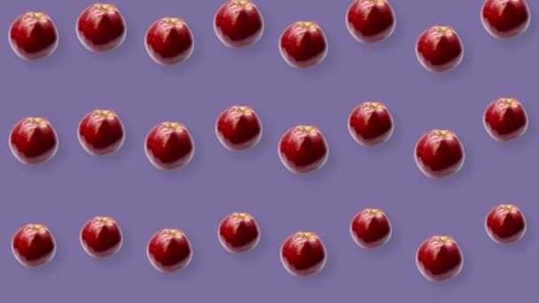 Цветной узор из свежих красных яблок на фиолетовом фоне. Бесшовный рисунок с яблоком. Реалистичная анимация. 4K видео движение — стоковое видео