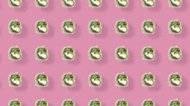 Pembe arka planda gölgeli Japon suşisinin renkli deseni. Suşi ile kusursuz desen. Üst Manzara. Gerçekçi animasyon. 4K video hareketi