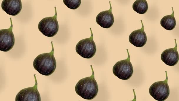 Modèle de fruits colorés de figues fraîches. Modèle sans couture avec figue. Animation réaliste. Mouvement vidéo 4K — Video