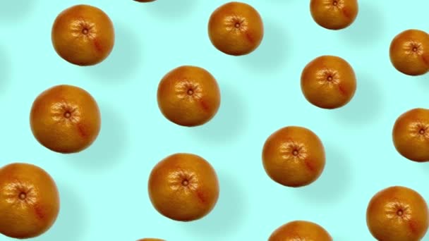 Kleurrijk fruitpatroon van verse grapefruits op blauwe achtergrond met schaduwen. Naadloos patroon met grapefruit. Realistische animatie. 4K video beweging — Stockvideo
