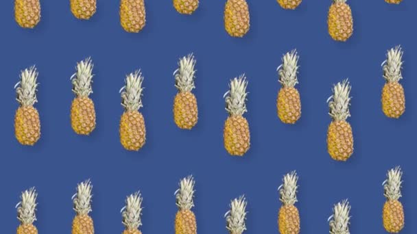 Kolorowy wzór owoców świeżego ananasa na niebieskim tle z cieniami. Płynny wzór z ananasem. Realistyczna animacja. Ruch wideo 4K — Wideo stockowe