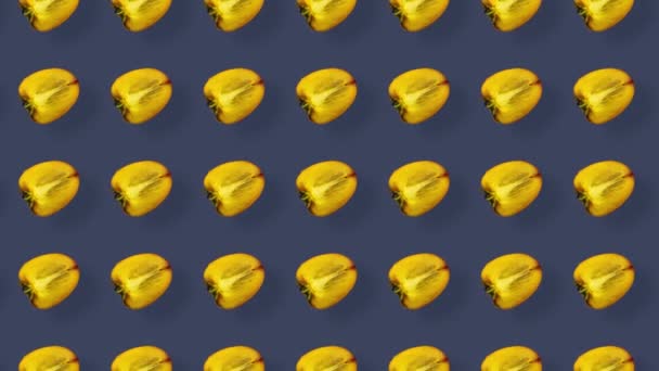 Πολύχρωμο μοτίβο φρέσκων λωρίδων πορτοκαλιού. Στο πάνω μέρος. Απρόσκοπτη μοτίβο με λωρίδες λωτού φέτες. Σχεδιασμός ποπ-αρτ. Ρεαλιστική κίνηση. 4K κίνηση βίντεο — Αρχείο Βίντεο