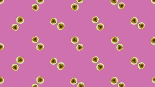 Colorful fruit pattern of fresh rotating passion fruit on pink background. Seamless pattern with passion fruit. Realistic animation. 4K video motion — Vídeo de Stock