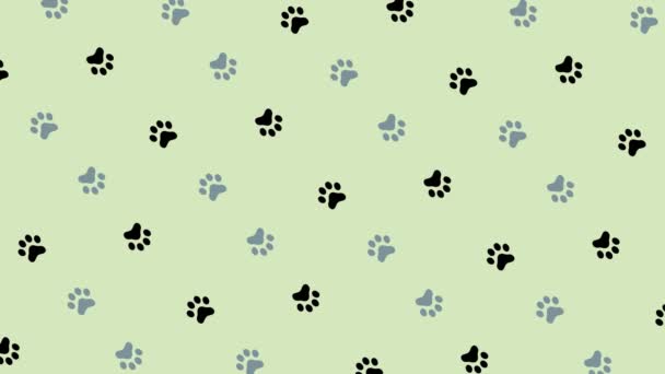 Kleurrijk patroon van kattenpoten. Naadloos patroon met kattenpoot. Bovenaanzicht. Dog, kat voetafdruk achtergrond. 4K video beweging — Stockvideo