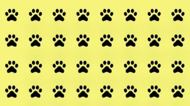 Sarı arka planda kedi patilerinin renkli deseni. Kedi patisiyle kusursuz desen. Üst Manzara. Köpek, kedi ayak izi geçmişi. 4K video hareketi