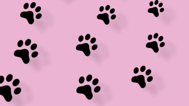 Colorful pattern of cat paws on pink background with shadows. Seamless pattern with cat paw. Top view. Dog, cat footprint background. 4K video motion — Stock Video