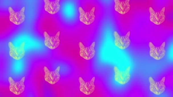 猫は鮮やかなグラデーションのホログラフィックネオンカラーにパターンを見出します。コンセプトアート。最小限のシュルレアリスムの背景。猫の顔をしたシームレスなパターン。現実的なアニメーション。4Kビデオモーション — ストック動画