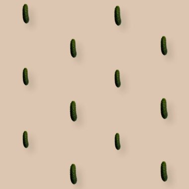 Açık kahverengi arka planda taze salatalık deseni. Üst Manzara. Düz yatıyordu. Pop sanat tasarımı