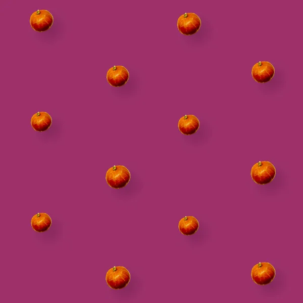 Bunte Fruchtmuster frischer Kürbisse auf rosa Hintergrund. Ansicht von oben. Flach lag er. Pop-Art-Design — Stockfoto
