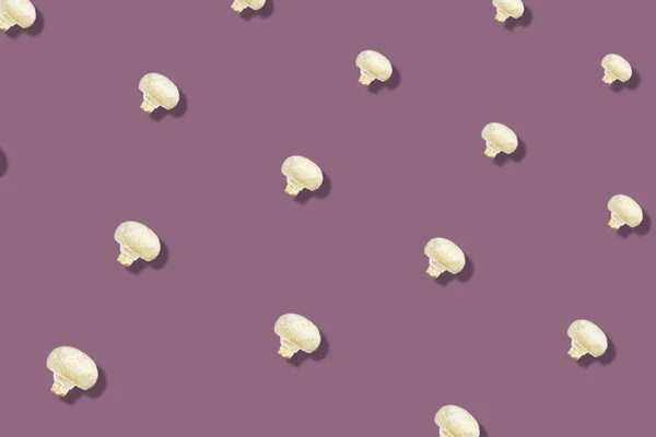Färgrikt mönster av färska svampar. Det är Champignon. Högst upp. Ett platt ligg. Popkonst design — Stockfoto