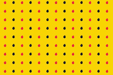 Sarı arka planda taze pembe ve siyah domateslerin renkli deseni. Üst Manzara. Düz yatıyordu. Pop sanat tasarımı