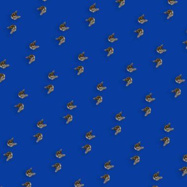 Mavi arka planda kedi kafalarının renkli desenleri. Üst Manzara. Düz yatıyordu. Pop sanat tasarımı