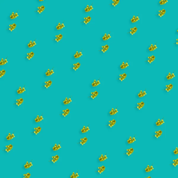 Farbenfrohe Fruchtmuster frischer Trauben auf grünem Hintergrund. Ansicht von oben. Flach lag er. Pop-Art-Design — Stockfoto