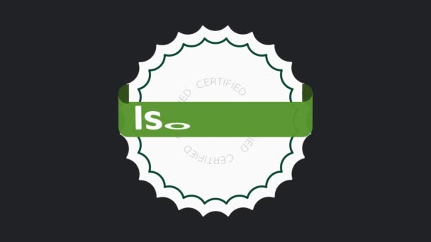 Certyfikat Iso 14001 System Zarządzania Środowiskiem Międzynarodowy Standard Zatwierdzony Znaczek — Wideo stockowe
