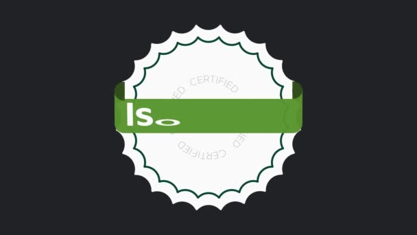 Certyfikat Iso 31000 System Zarządzania Środowiskiem Międzynarodowy Standard Zatwierdzony Znaczek — Wideo stockowe