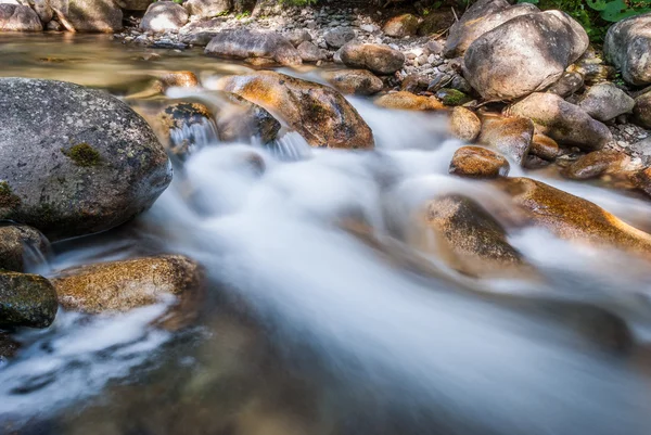 Creek — Stock Photo, Image