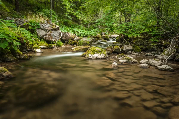 Creek, klippor och vegetation — Stockfoto