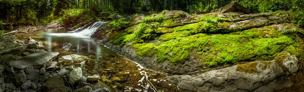 Riacho, musgo e rochas — Fotografia de Stock