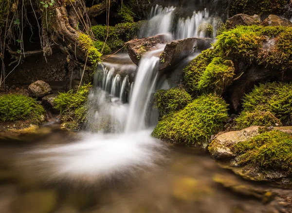 Little waterfall — Stock Photo, Image