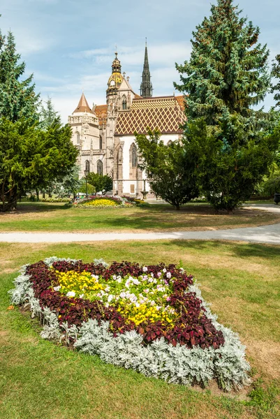 Kathedraal van st. elizabeth met tuin — Stockfoto