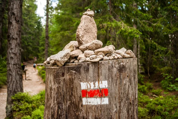 Tourist mark on a stump — Stock Photo, Image