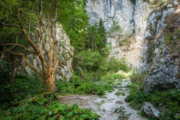 Abschnitt des Prosiecka-Tals — Stockfoto