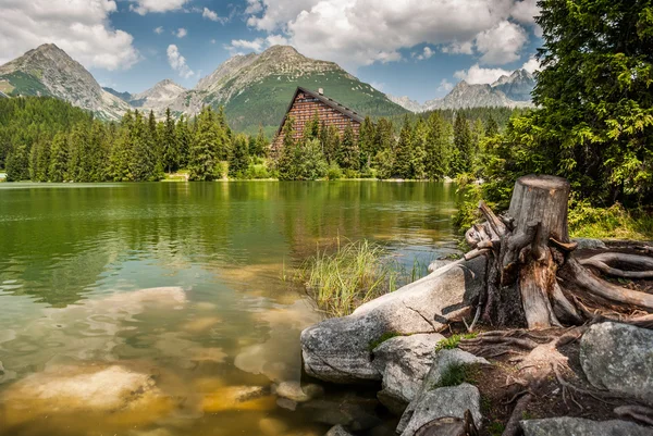 Damm i bergen på sommaren — Stockfoto