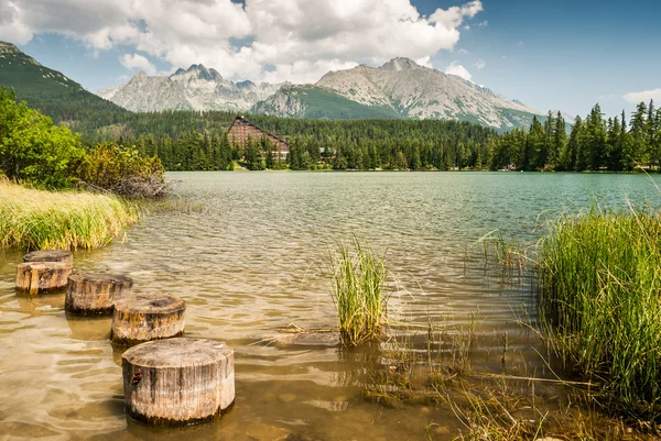 Rybník v horách v létě — Stock fotografie