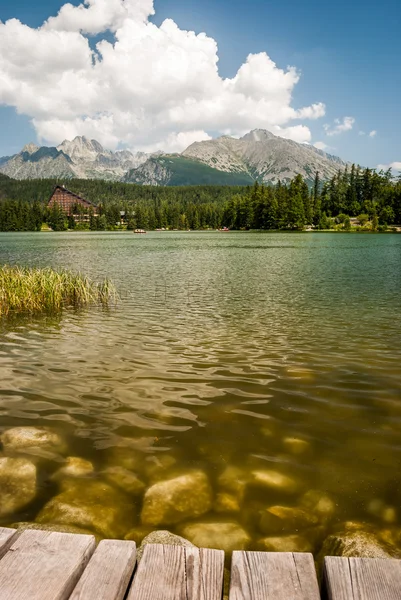 Rybník v horách v létě — Stock fotografie