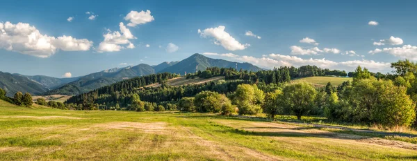 Yaz dağı manzarası — Stok fotoğraf